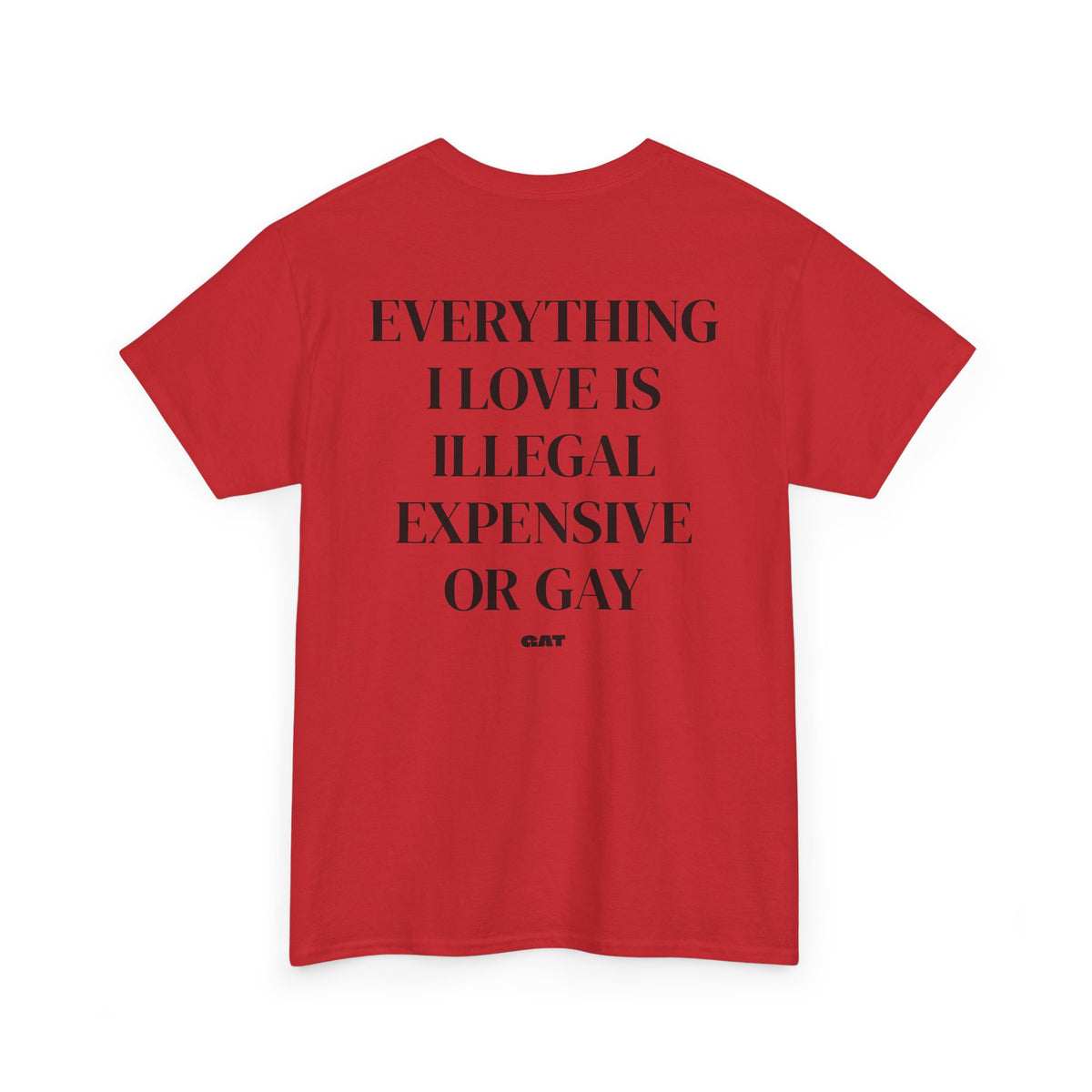 Everything I Love Is Gay Tee