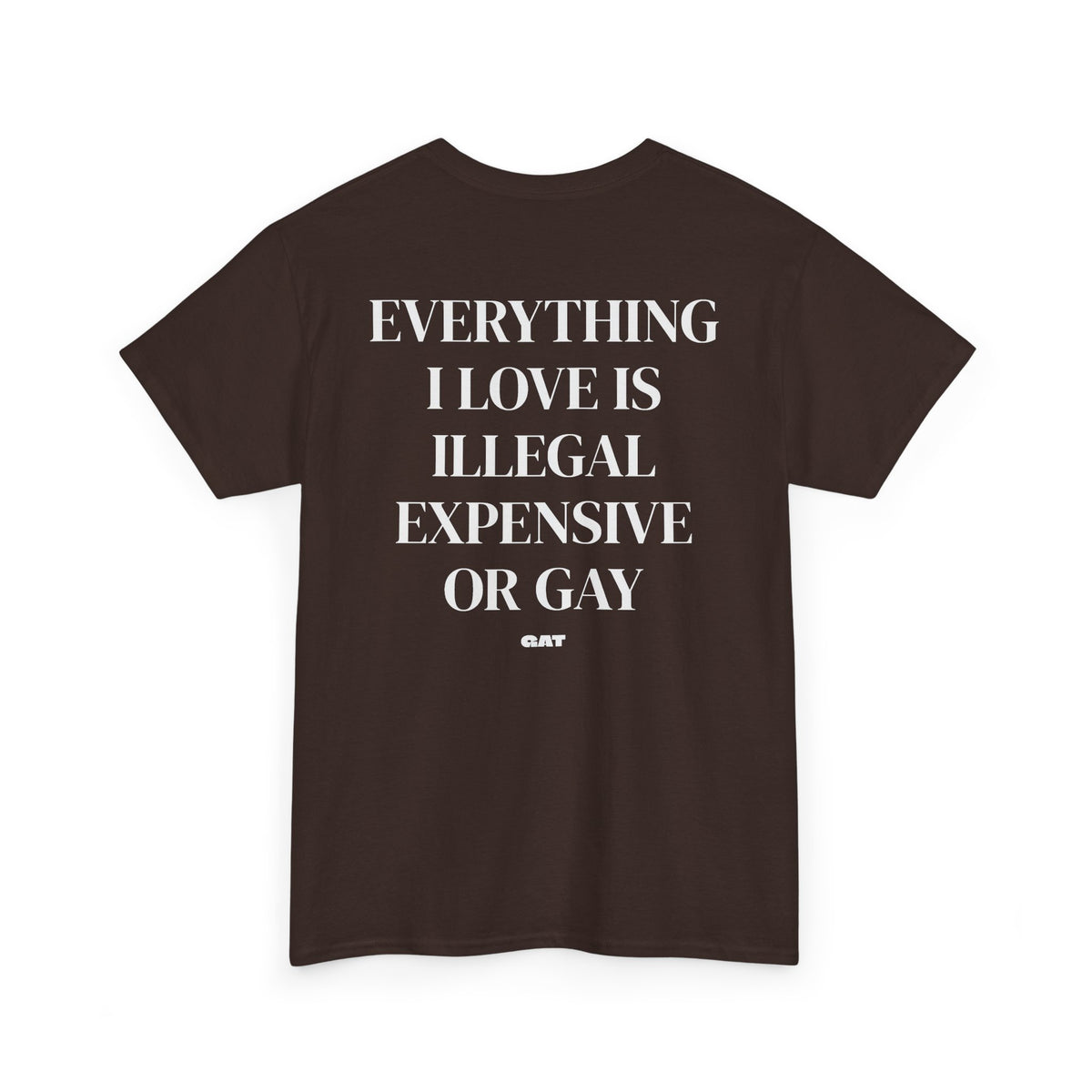 Everything I Love Is Gay Tee