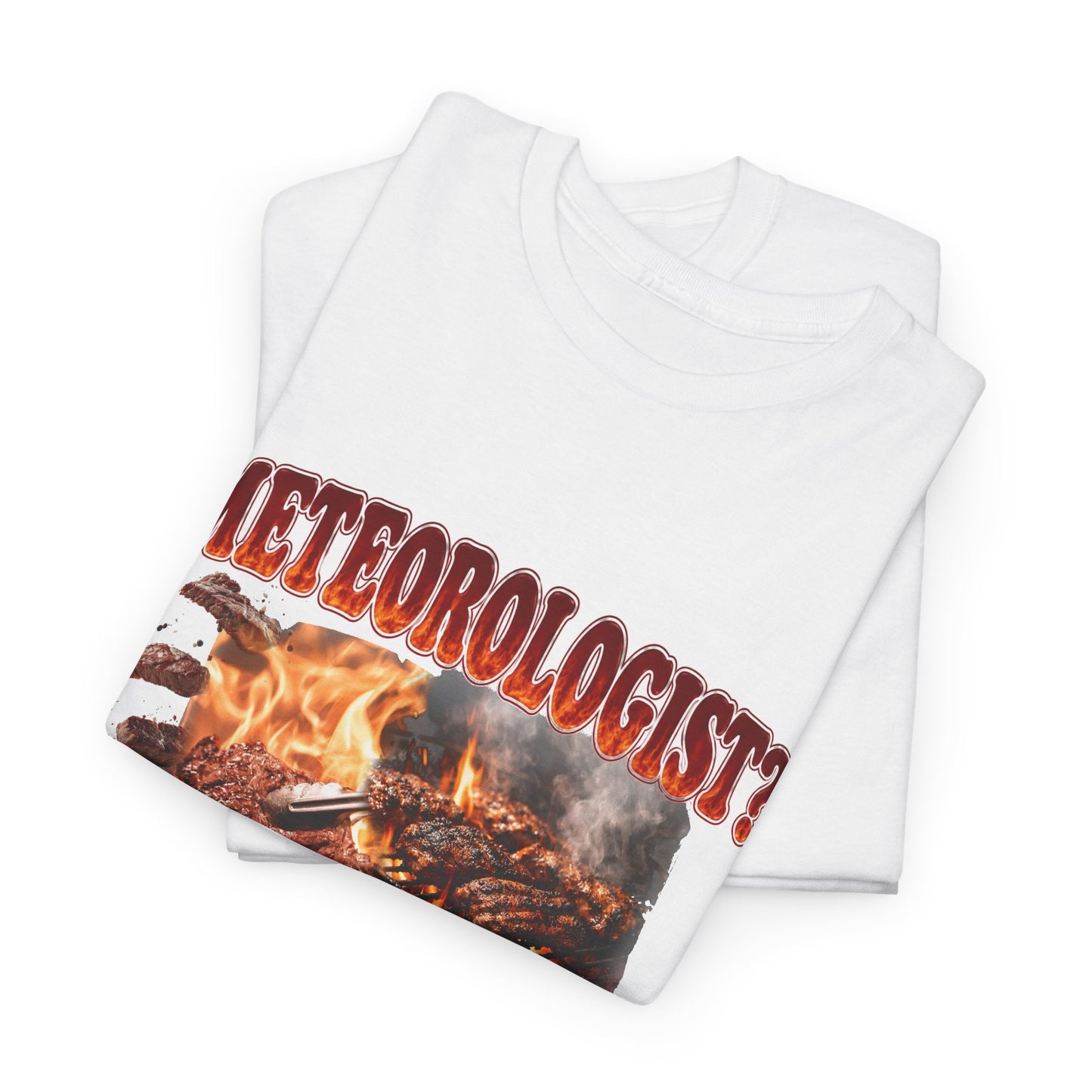 Meteorologist Tee