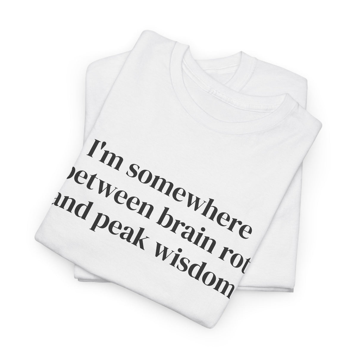 Brainrot and Peak Wisdom Tee