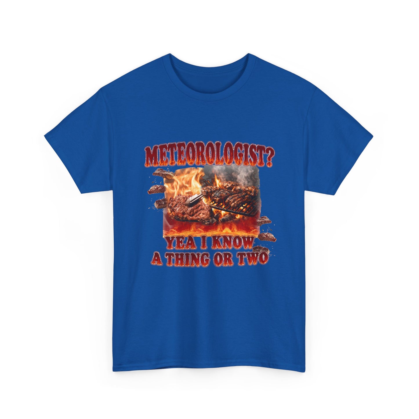Meteorologist Tee