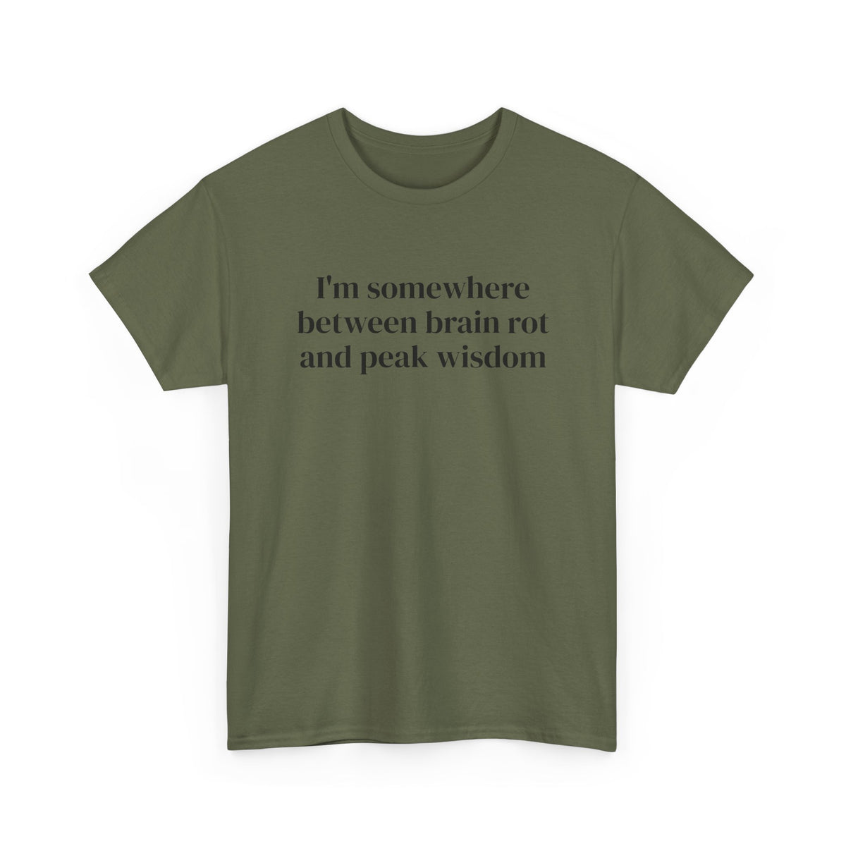 Brainrot and Peak Wisdom Tee