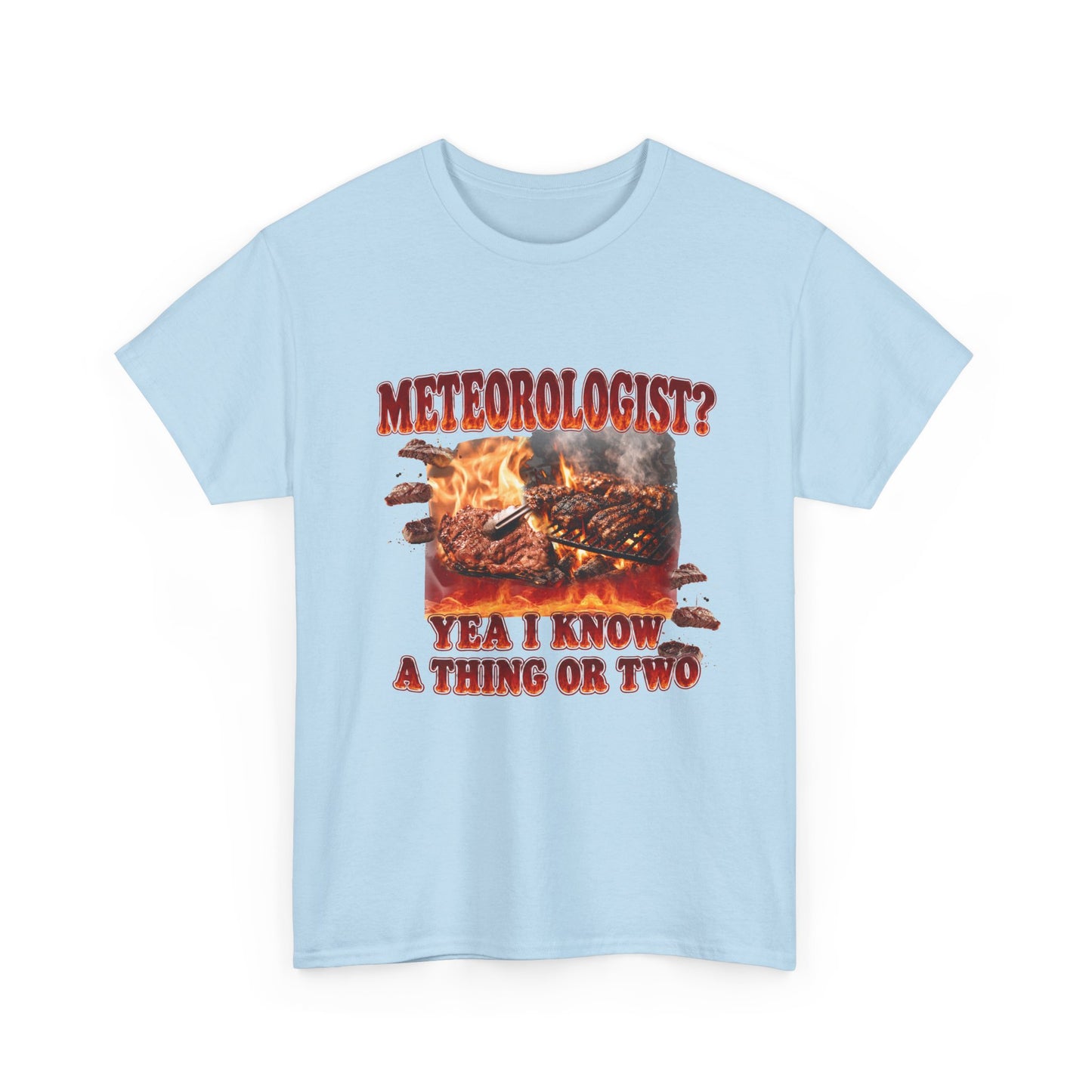 Meteorologist Tee