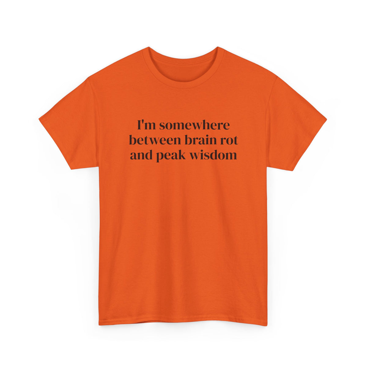 Brainrot and Peak Wisdom Tee