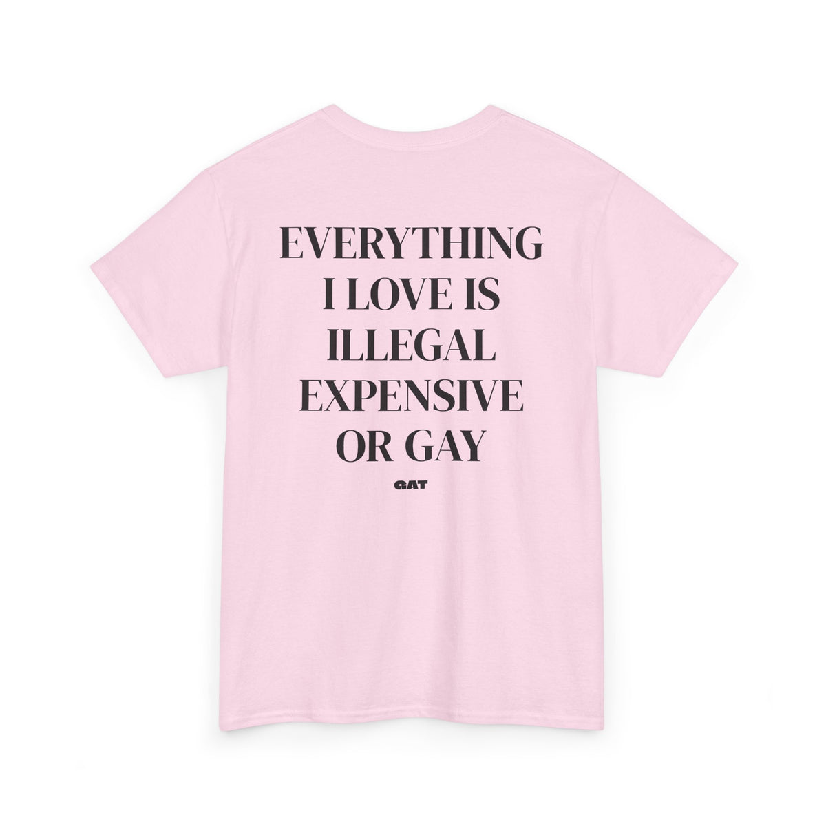 Everything I Love Is Gay Tee