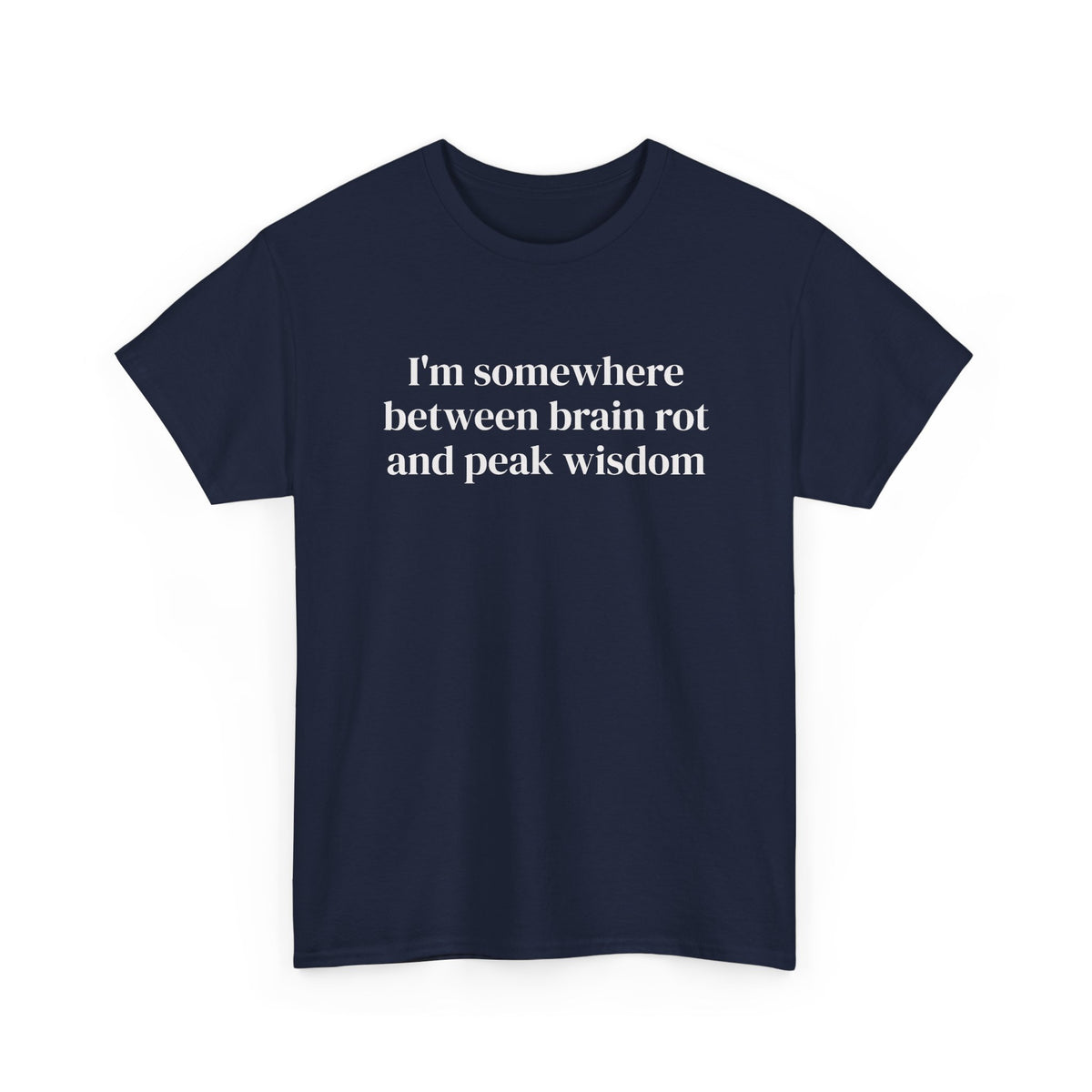 Brainrot and Peak Wisdom Tee