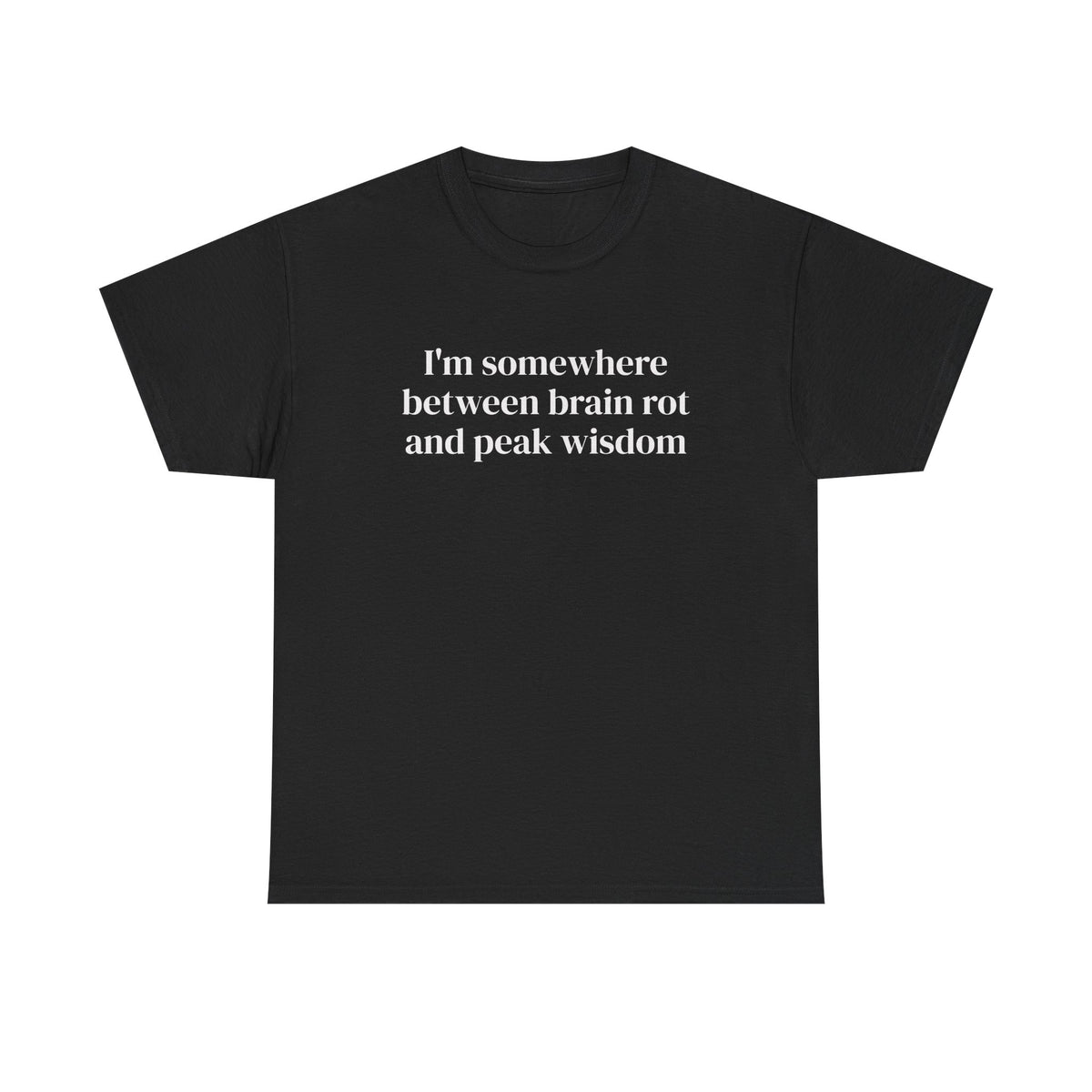 Brainrot and Peak Wisdom Tee