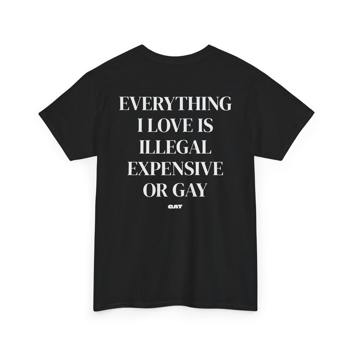 Everything I Love Is Gay Tee