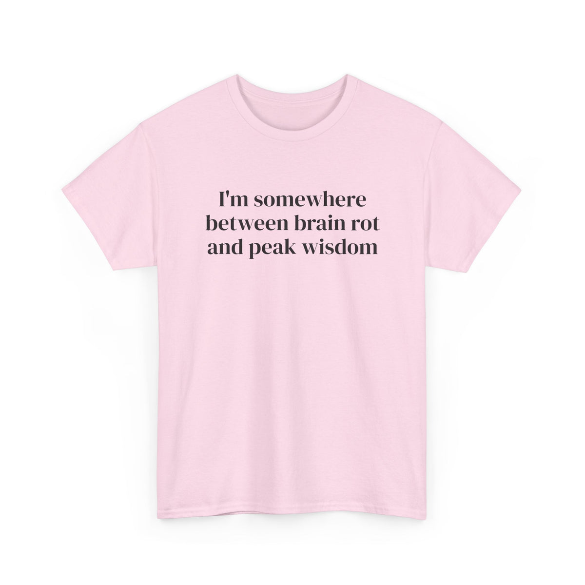 Brainrot and Peak Wisdom Tee