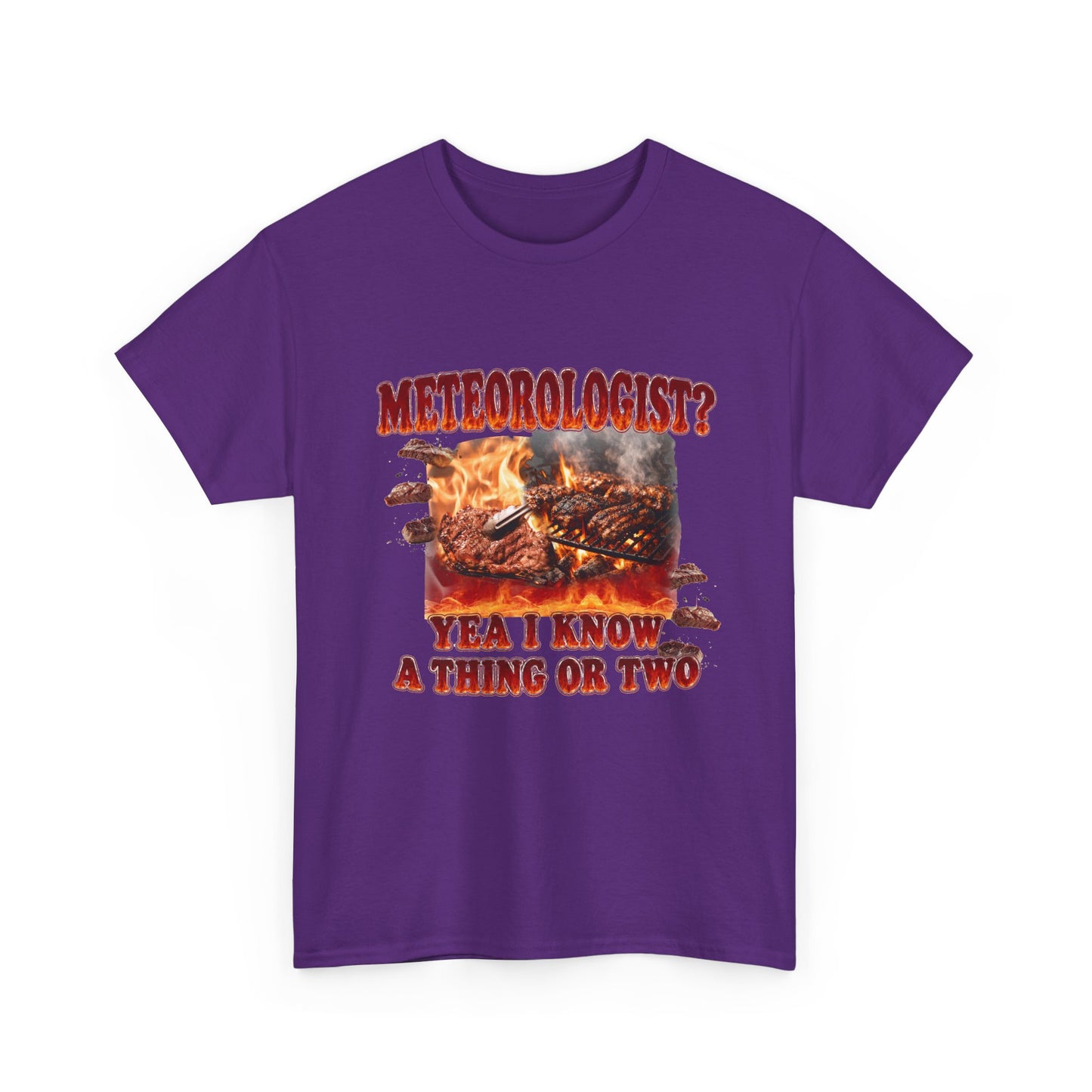 Meteorologist Tee