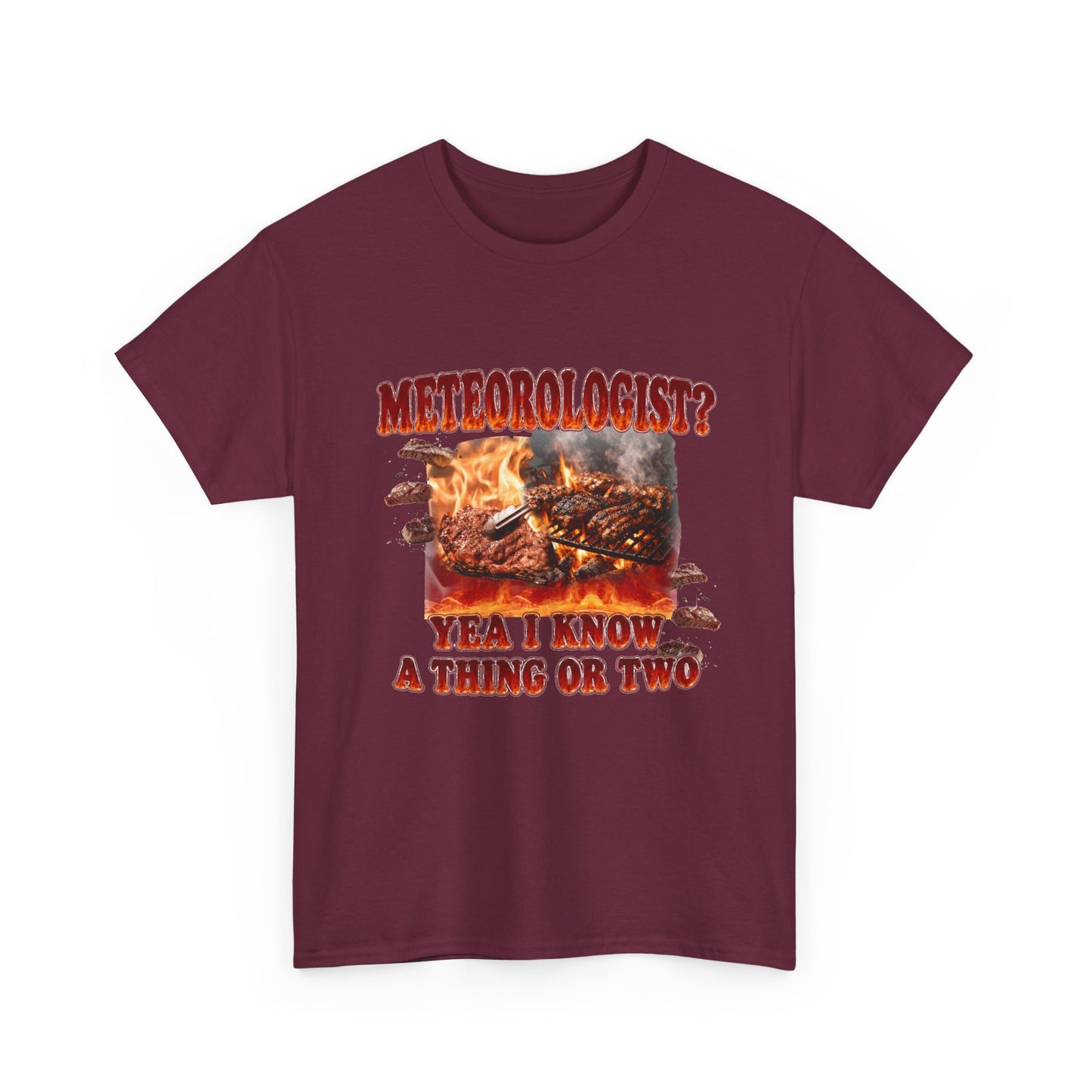 Meteorologist Tee
