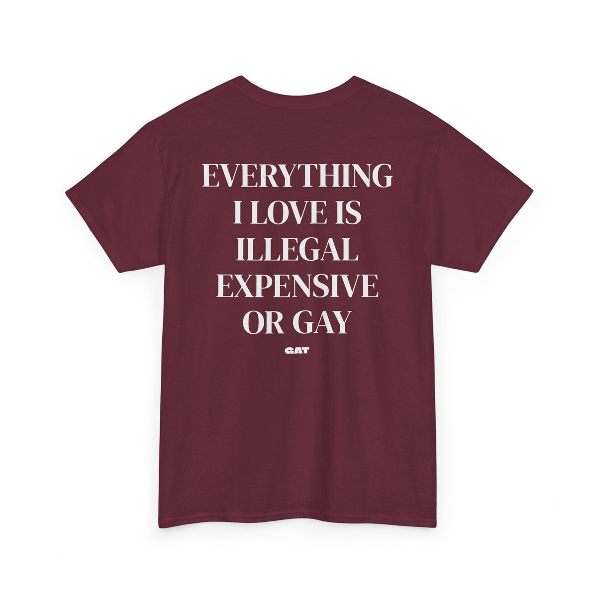 Everything I Love Is Gay Tee