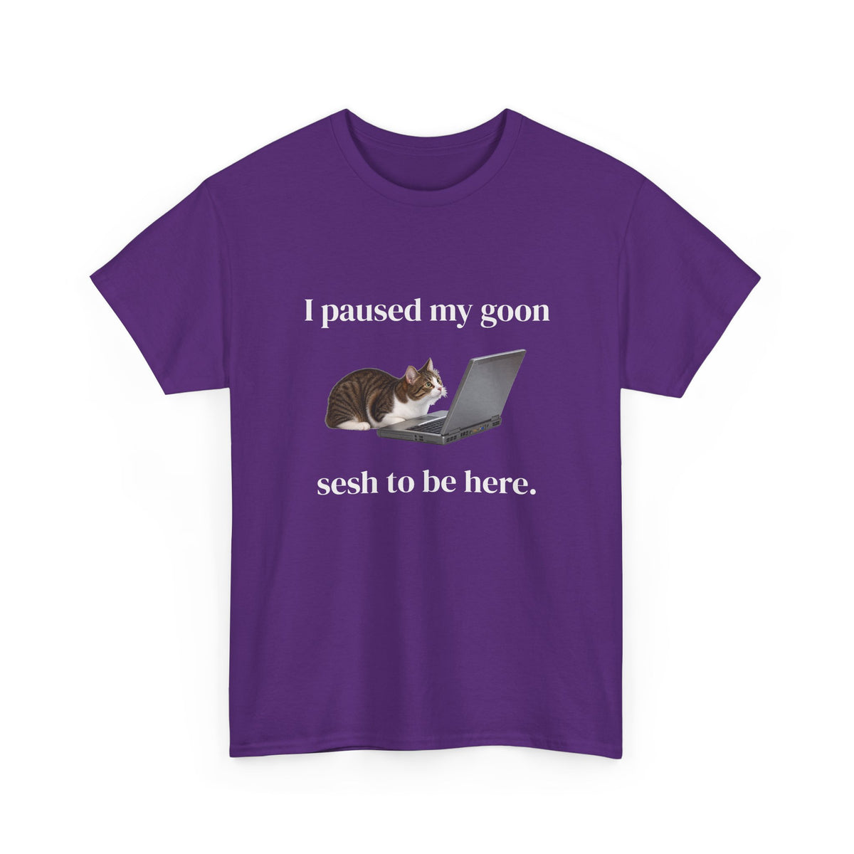 Paused My Goon Sesh Tee