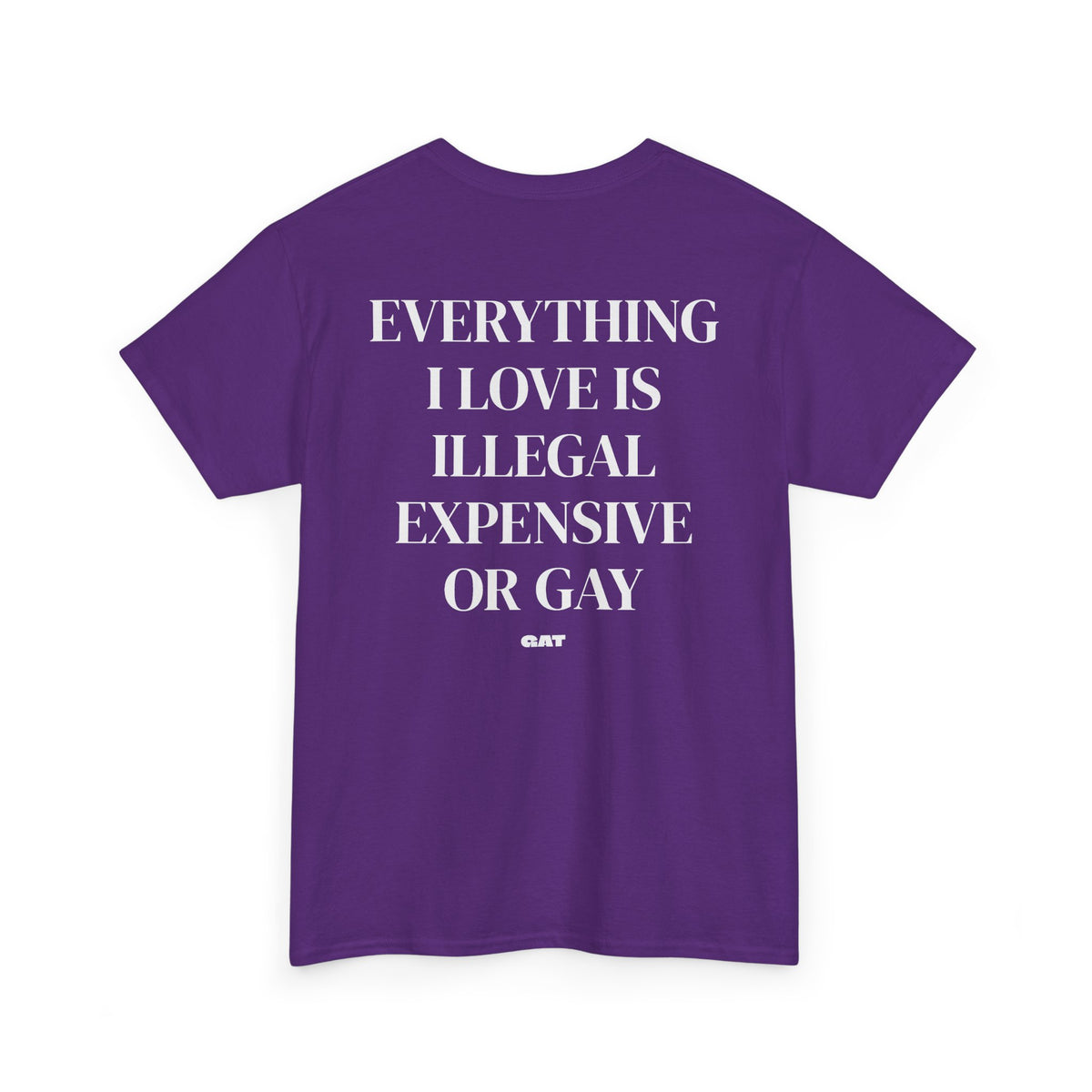 Everything I Love Is Gay Tee