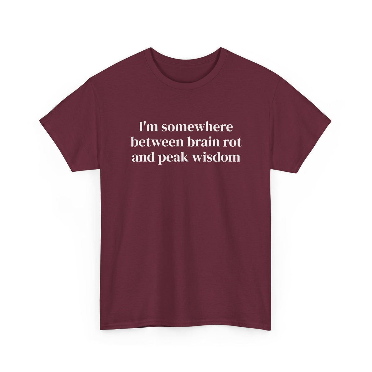 Brainrot and Peak Wisdom Tee