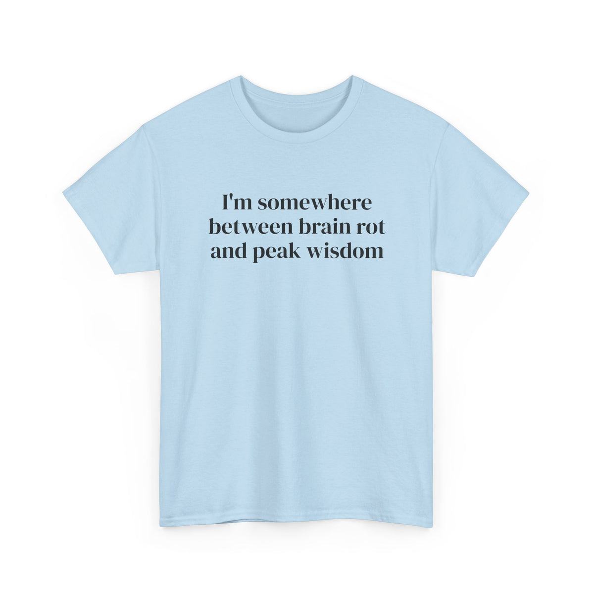 Brainrot and Peak Wisdom Tee