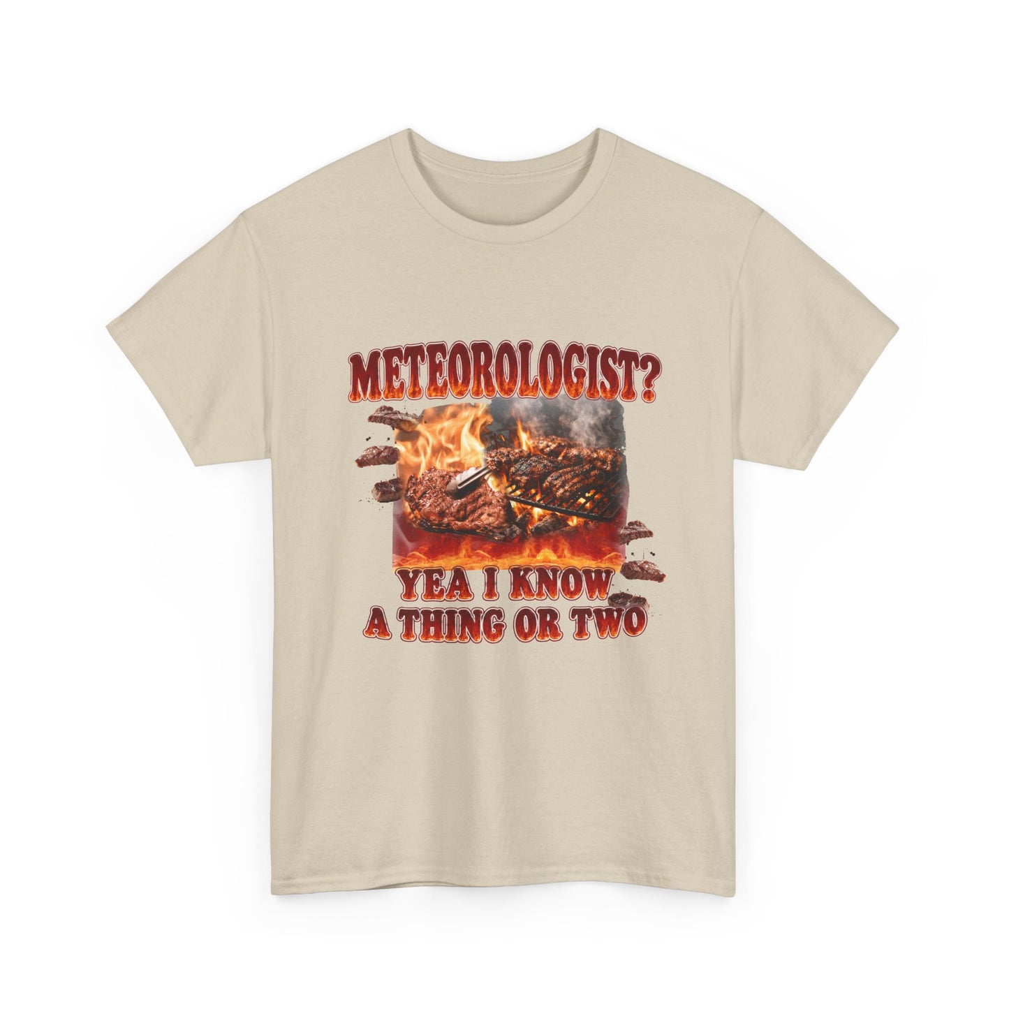 Meteorologist Tee