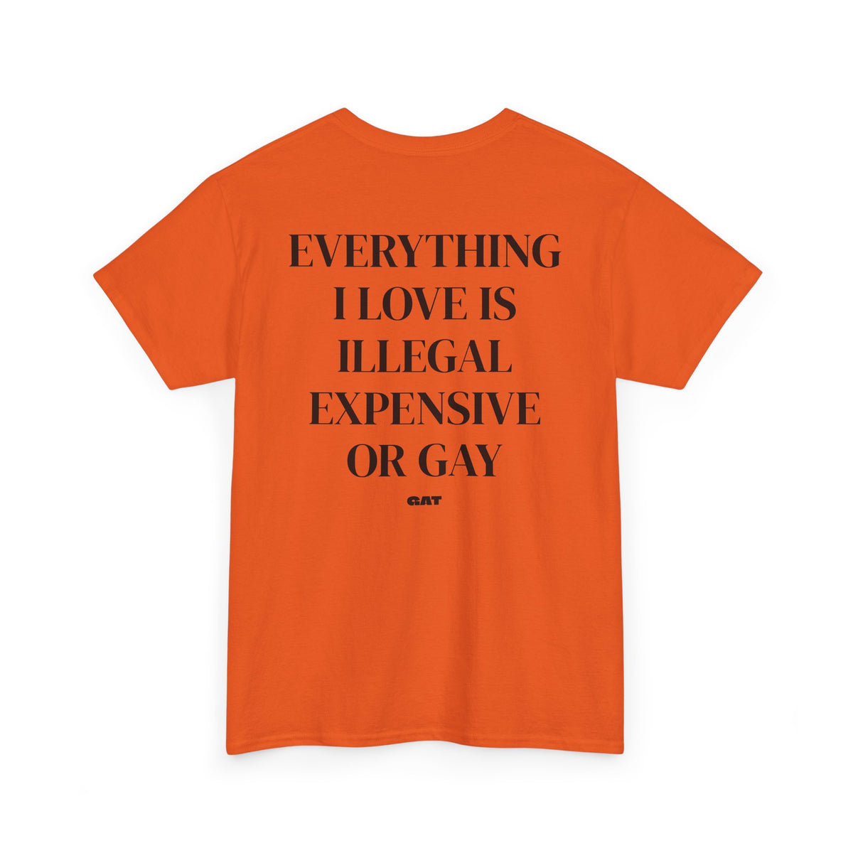 Everything I Love Is Gay Tee
