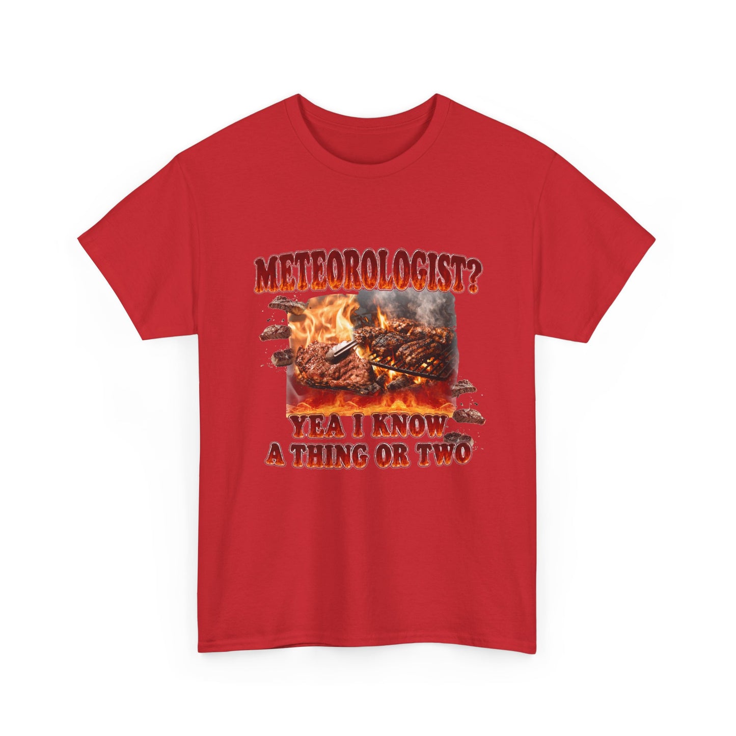 Meteorologist Tee
