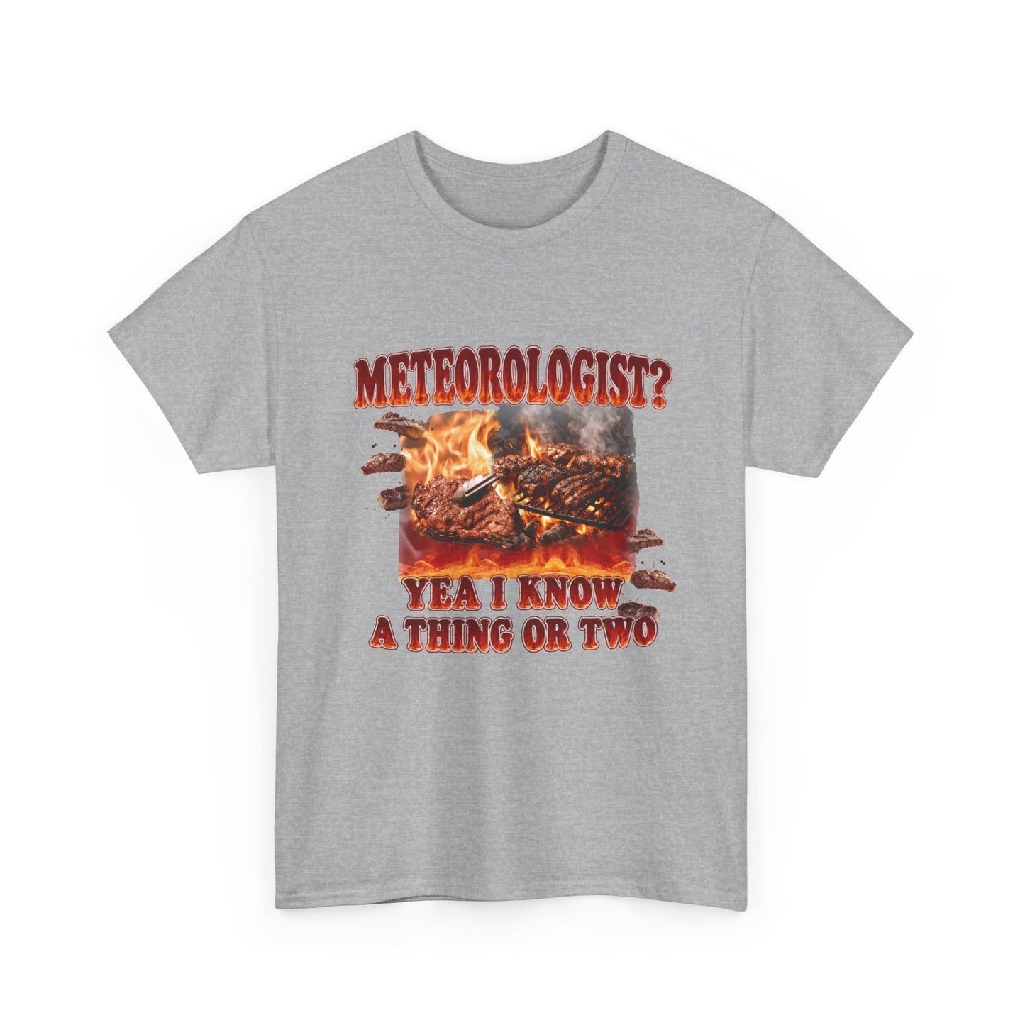 Meteorologist Tee