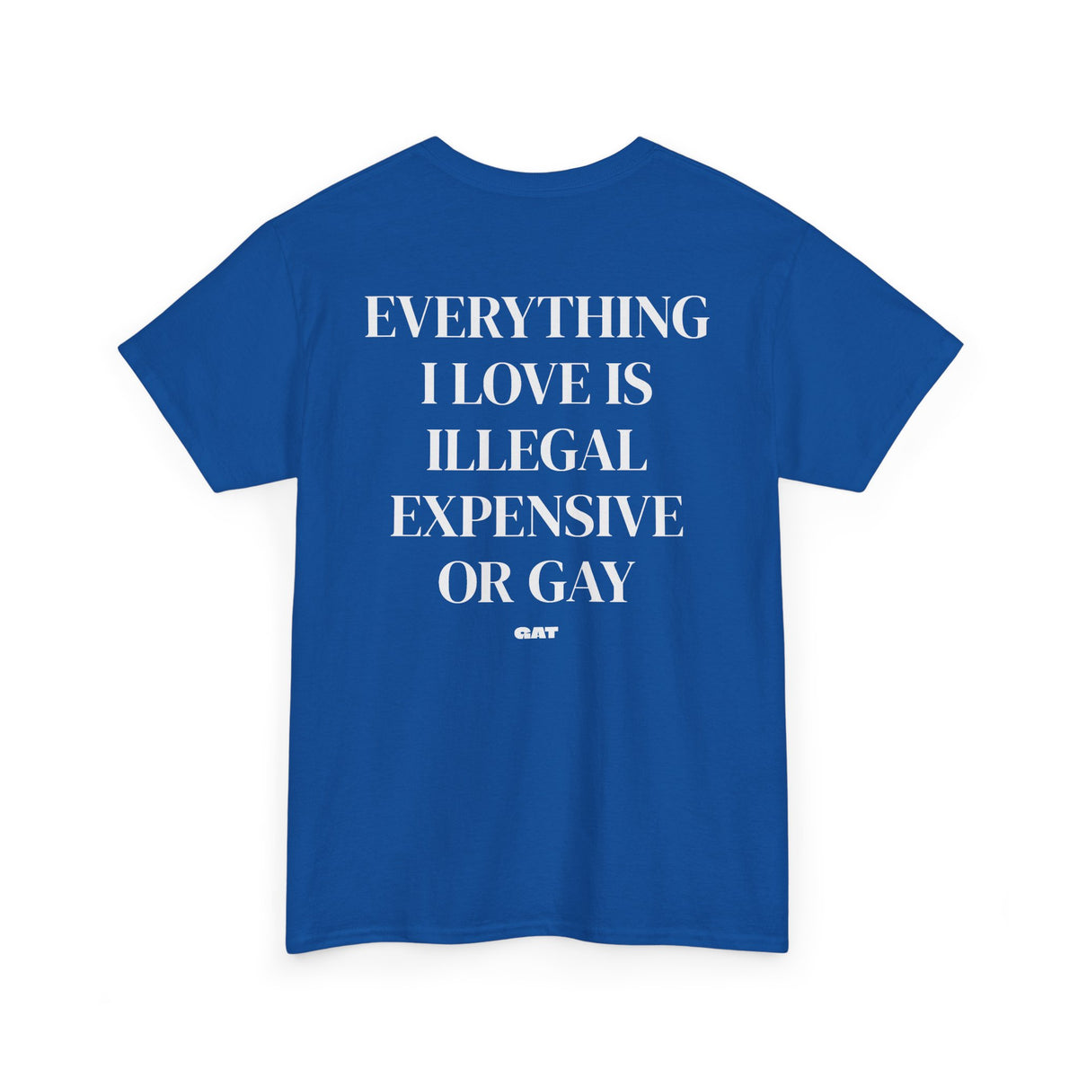 Everything I Love Is Gay Tee