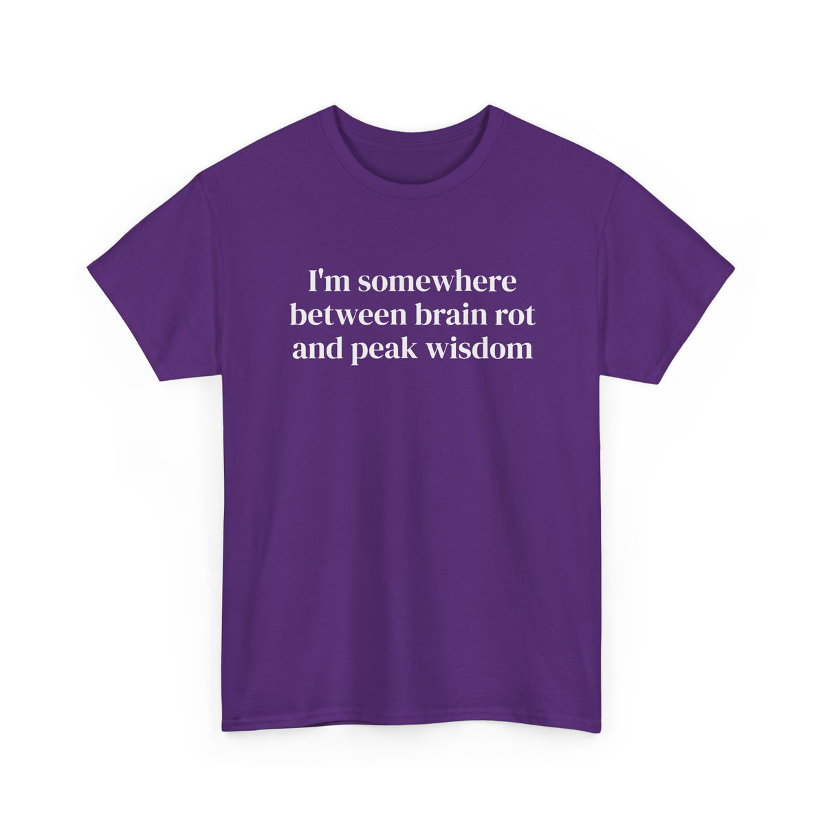 Brainrot and Peak Wisdom Tee