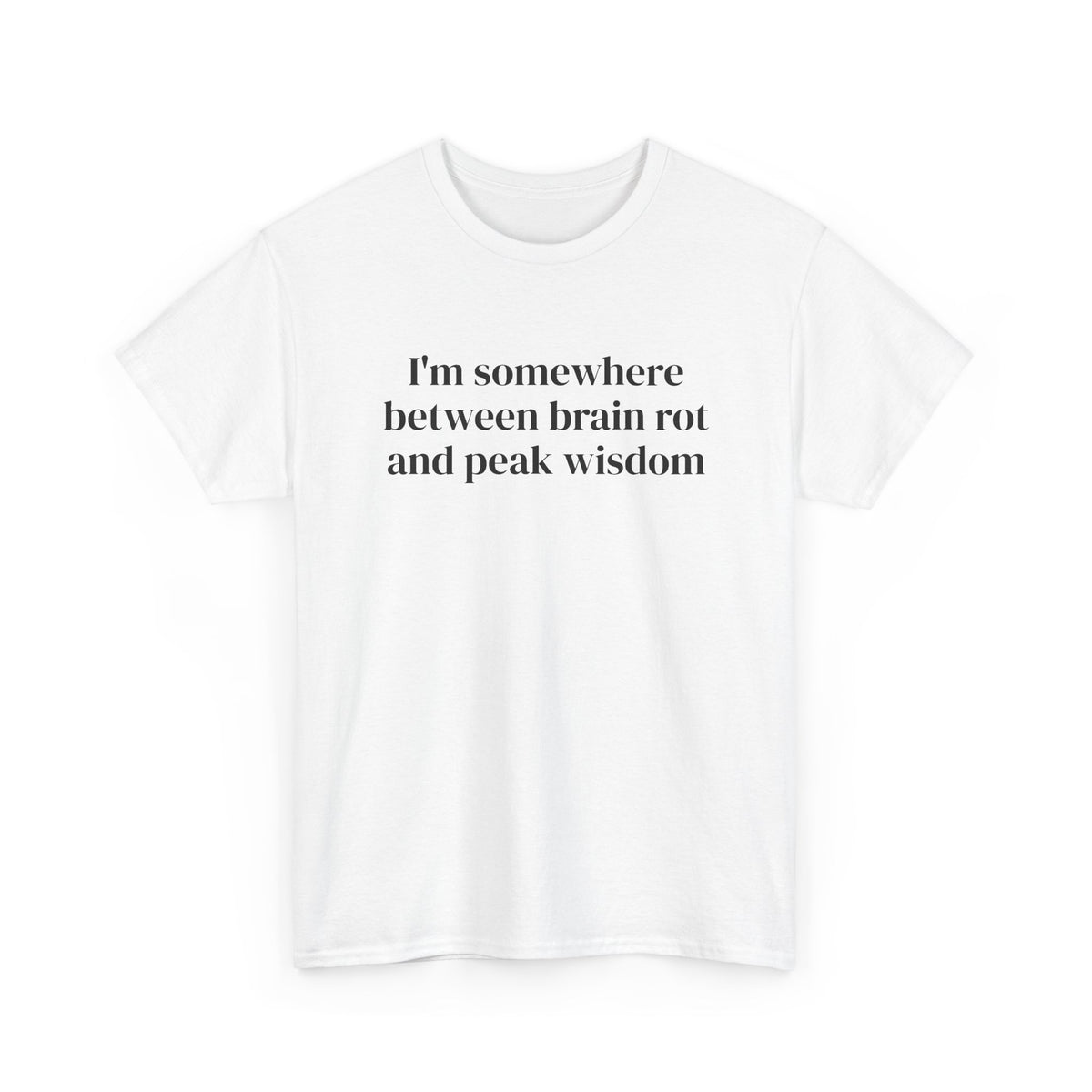 Brainrot and Peak Wisdom Tee