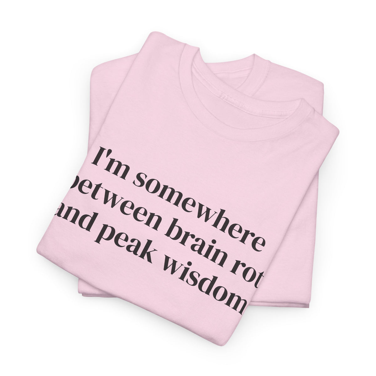 Brainrot and Peak Wisdom Tee