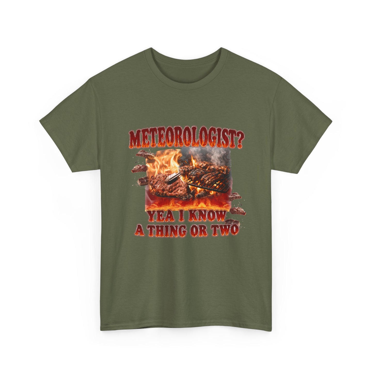 Meteorologist Tee