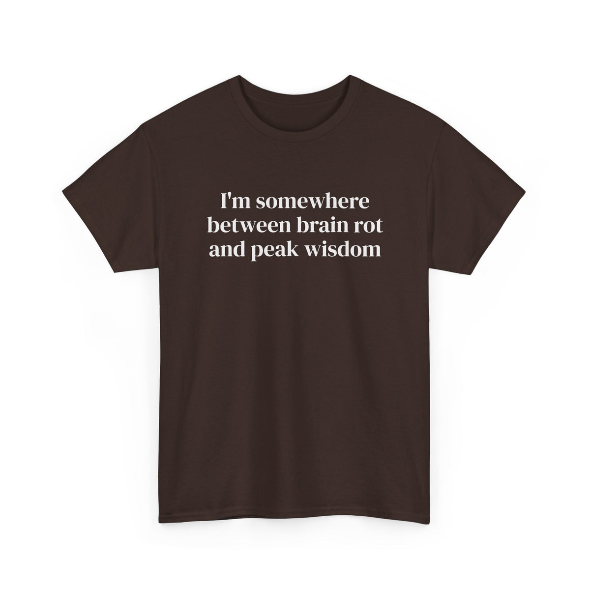 Brainrot and Peak Wisdom Tee
