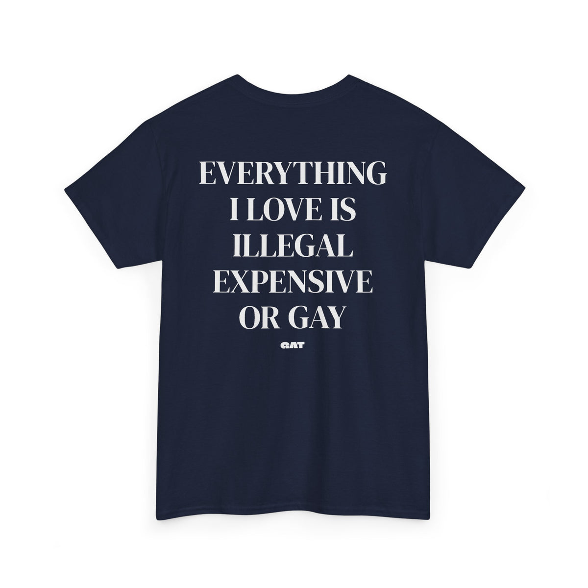 Everything I Love Is Gay Tee