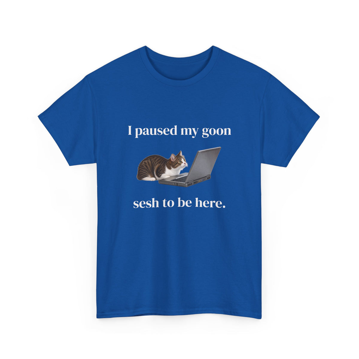Paused My Goon Sesh Tee