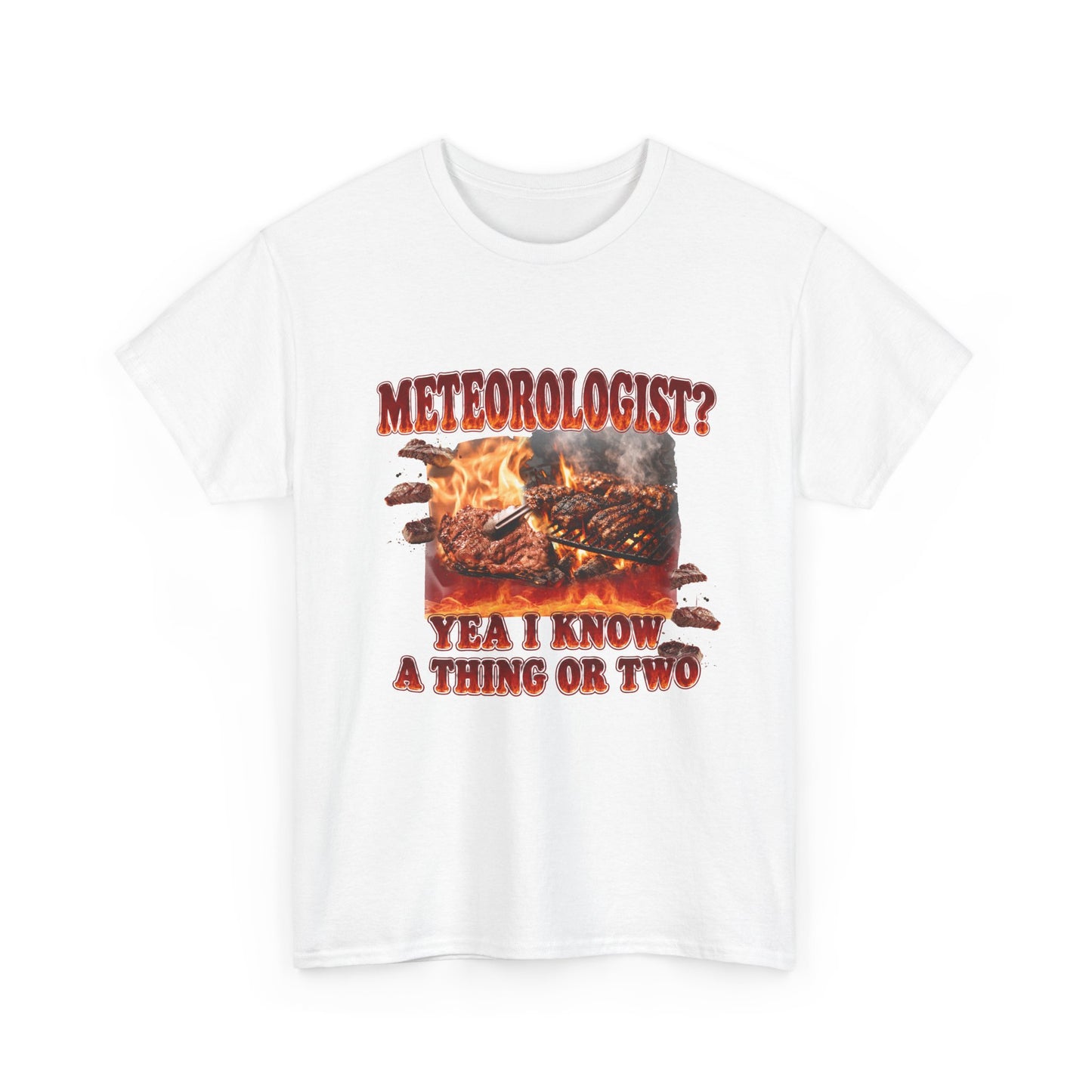 Meteorologist Tee