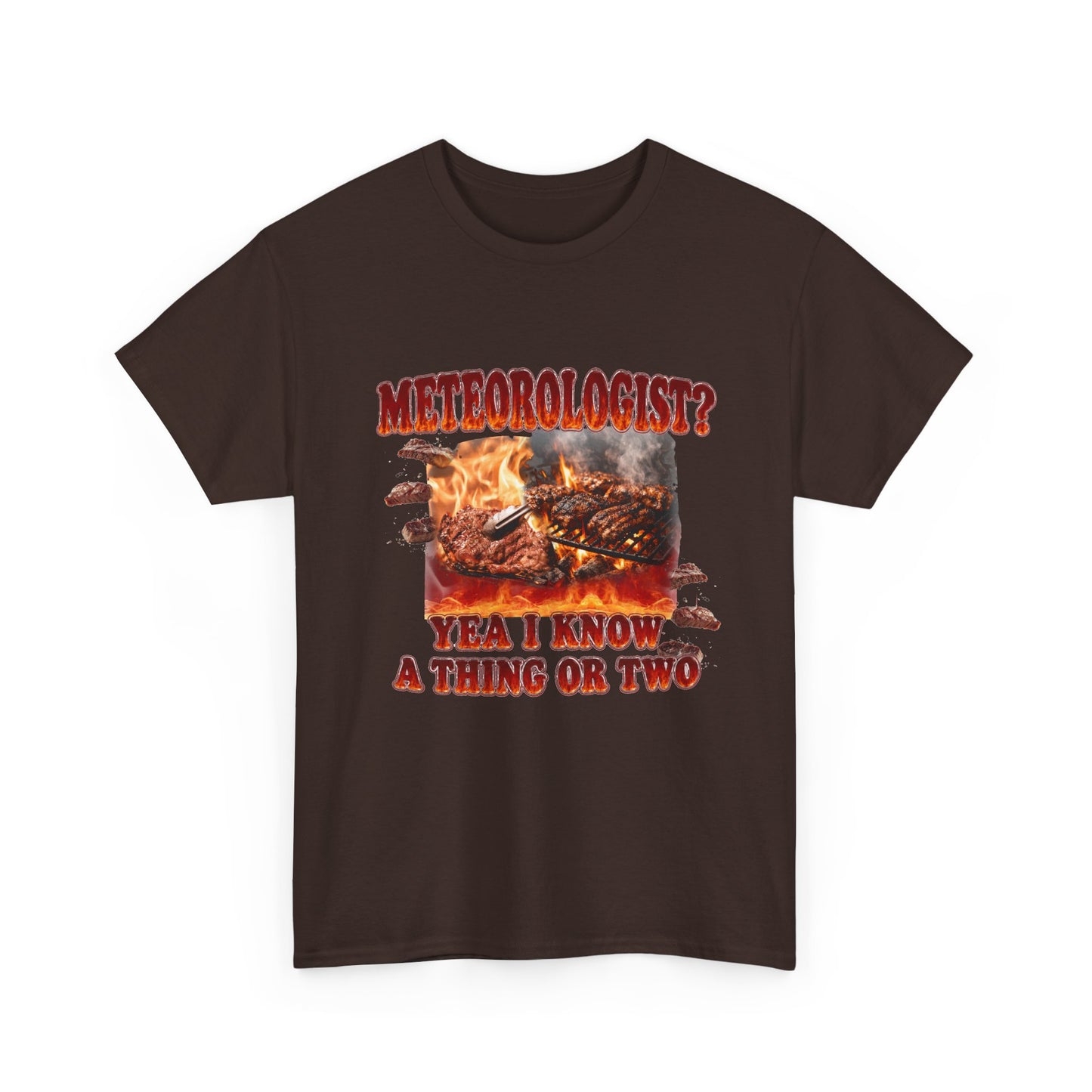 Meteorologist Tee