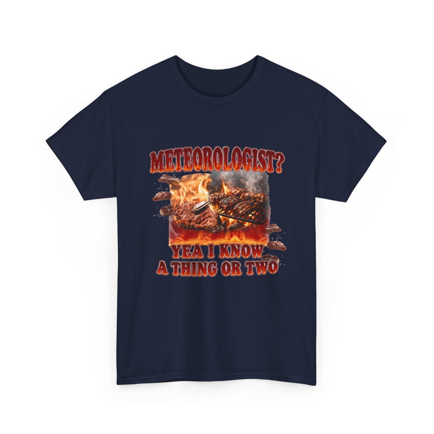 Meteorologist Tee