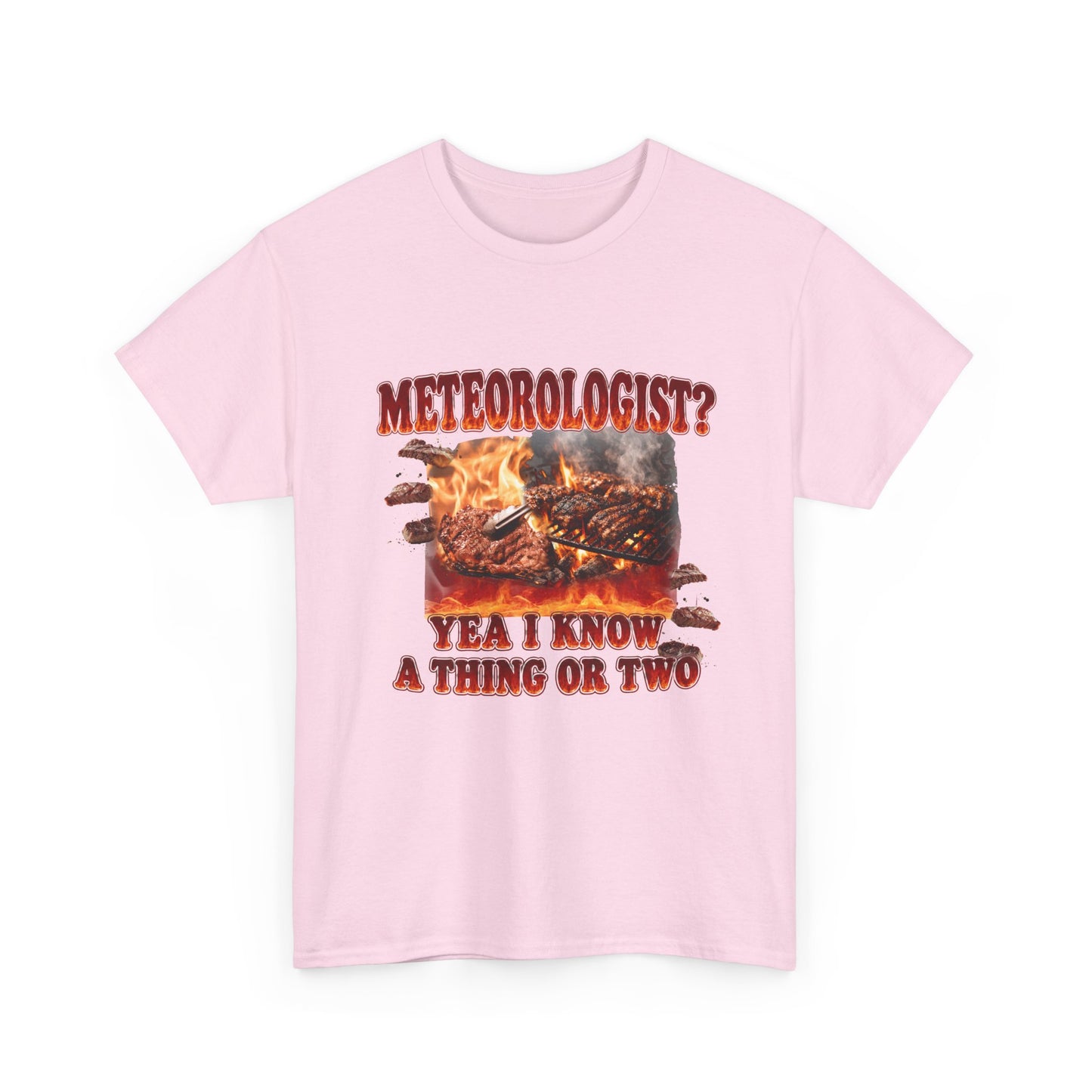 Meteorologist Tee