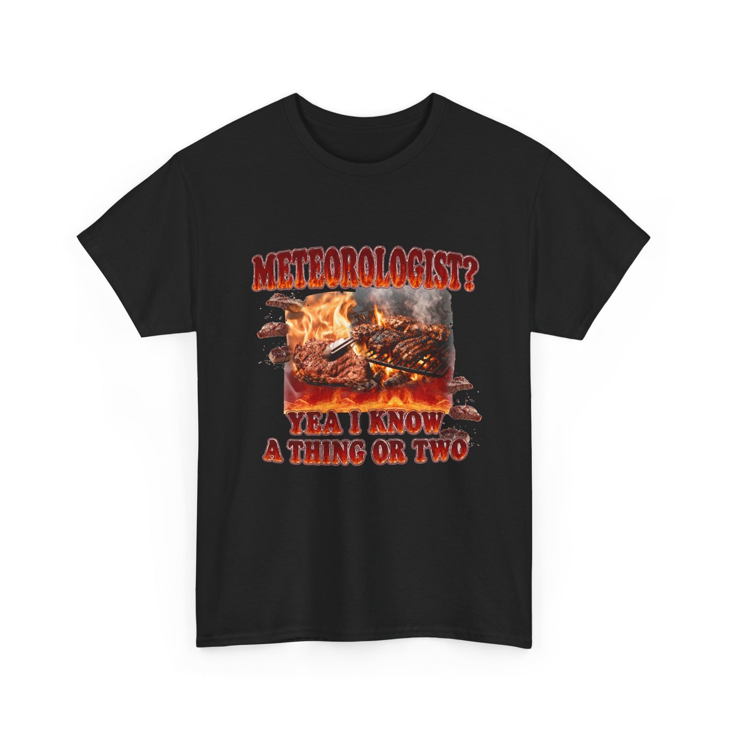 Meteorologist Tee