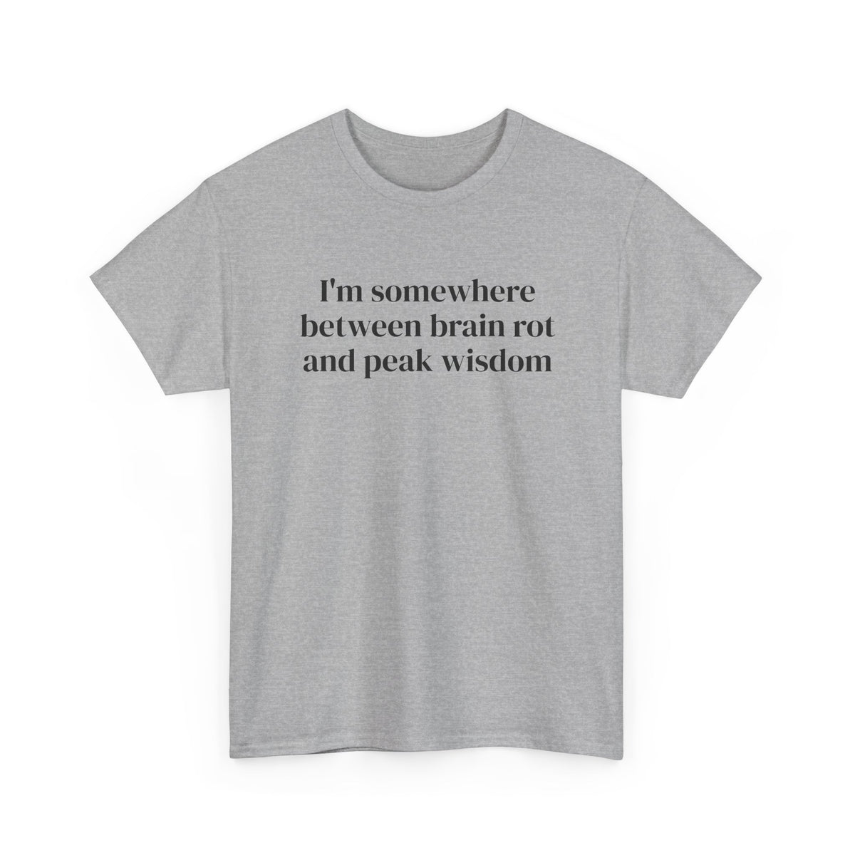 Brainrot and Peak Wisdom Tee