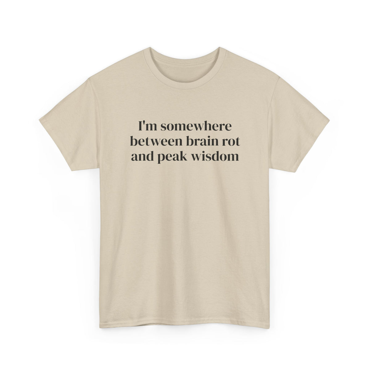 Brainrot and Peak Wisdom Tee