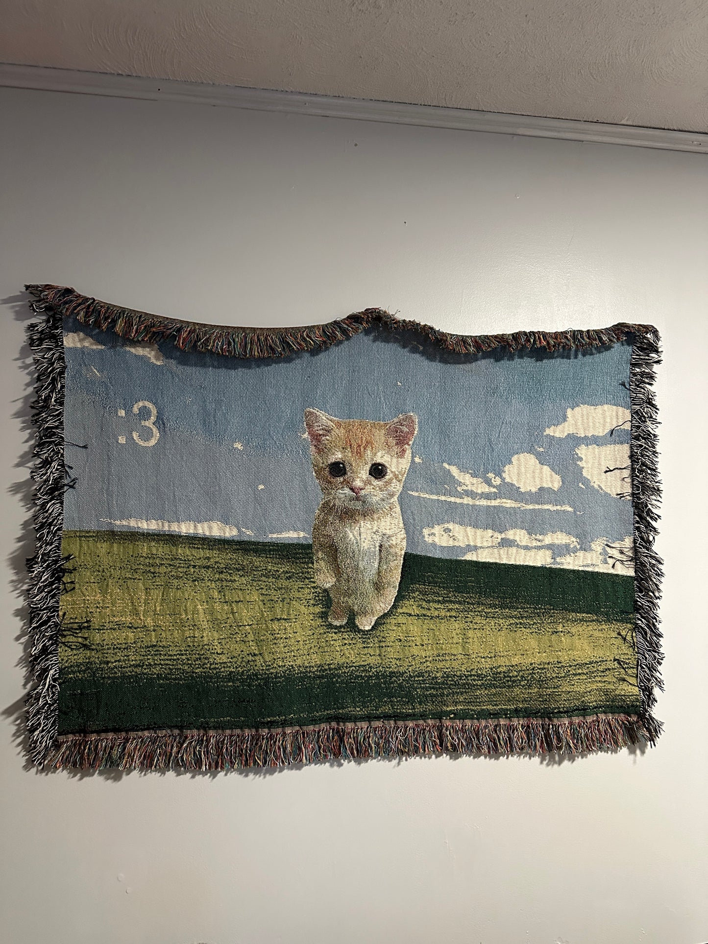 Cat Tapestry :3